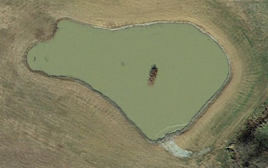 Attached picture Dad's old pond refurbed cropped.jpg